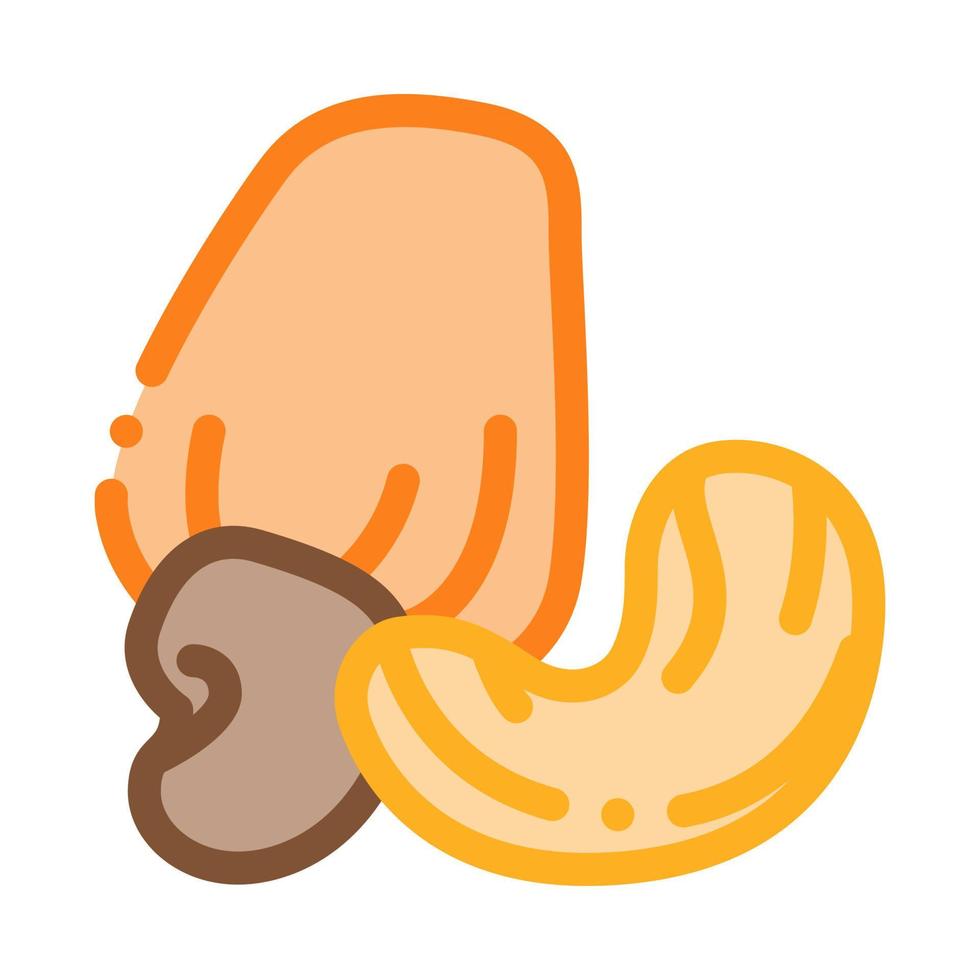 cashew nut icon vector outline illustration