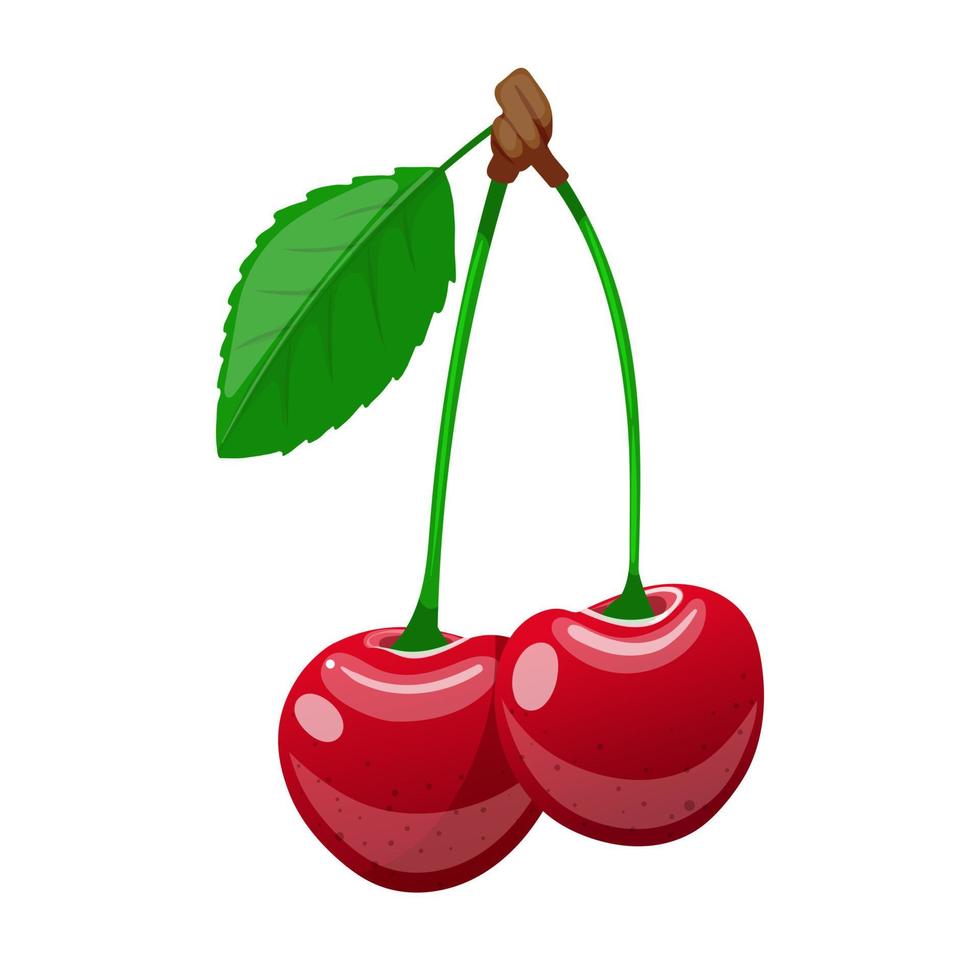 cherry leaf cartoon vector illustration