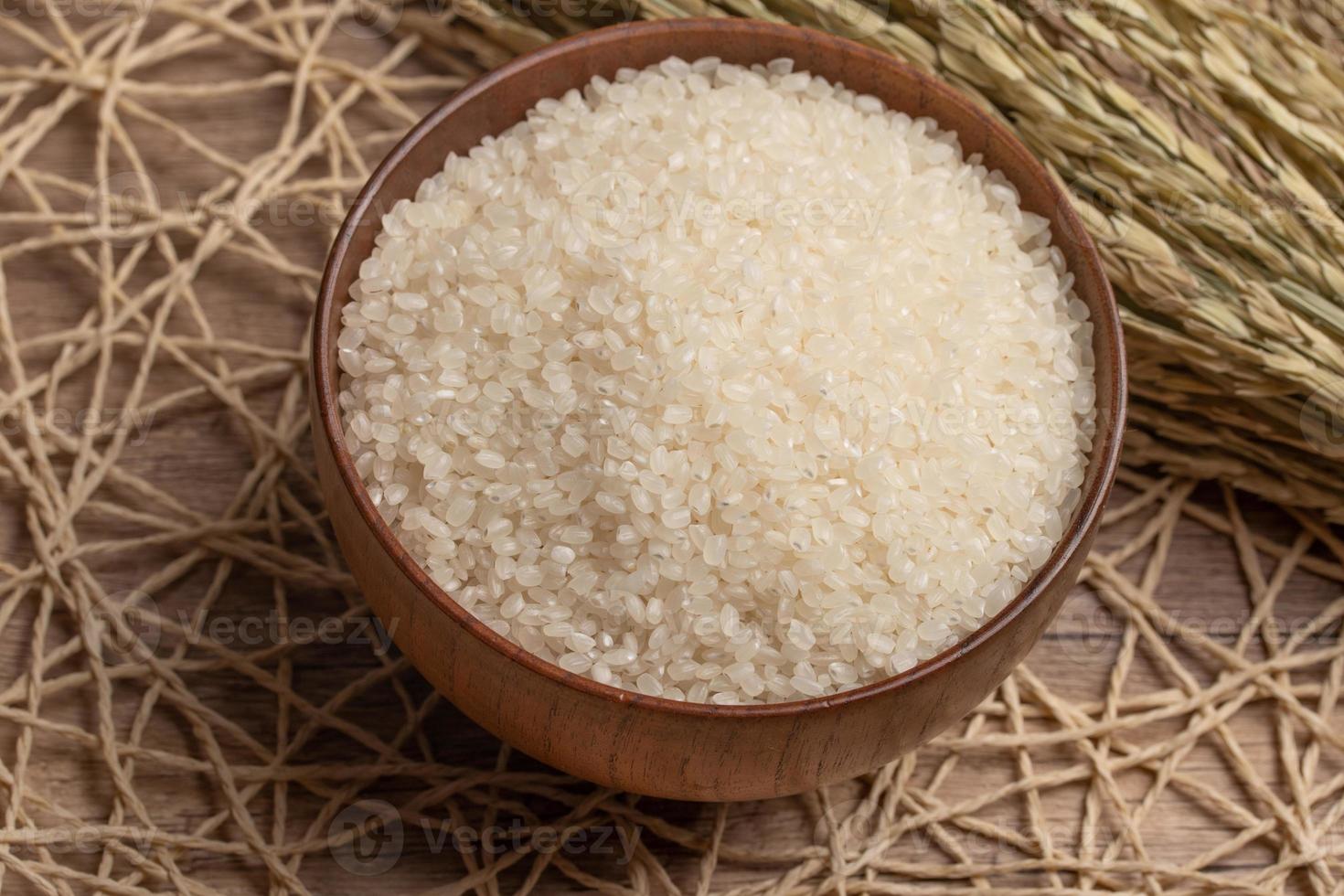 White rice, Masu and ears of rice on a white background photo