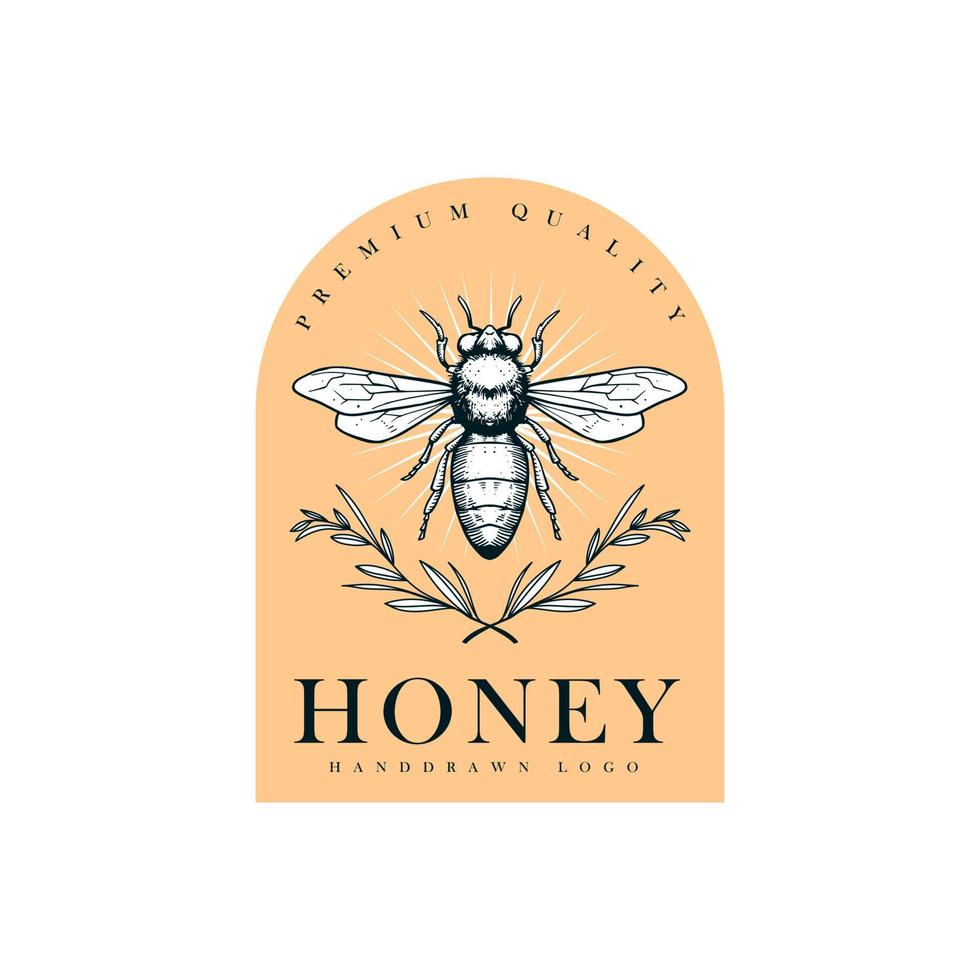 hand drawn honey logo vector