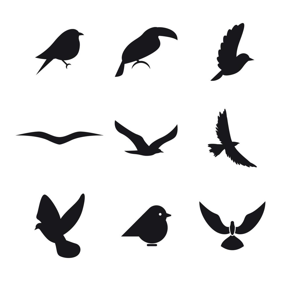 conjunto de iconos aislados en un tema de aves vector