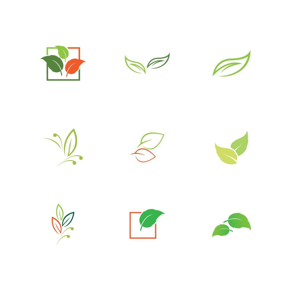 leaf logo and symbol vector