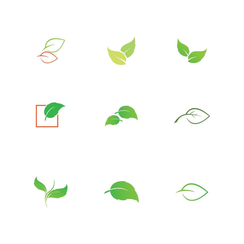 leaf logo and symbol vector