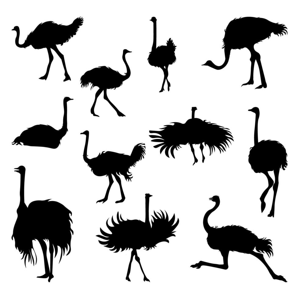 Set of ostrich animal silhouettes of various styles vector