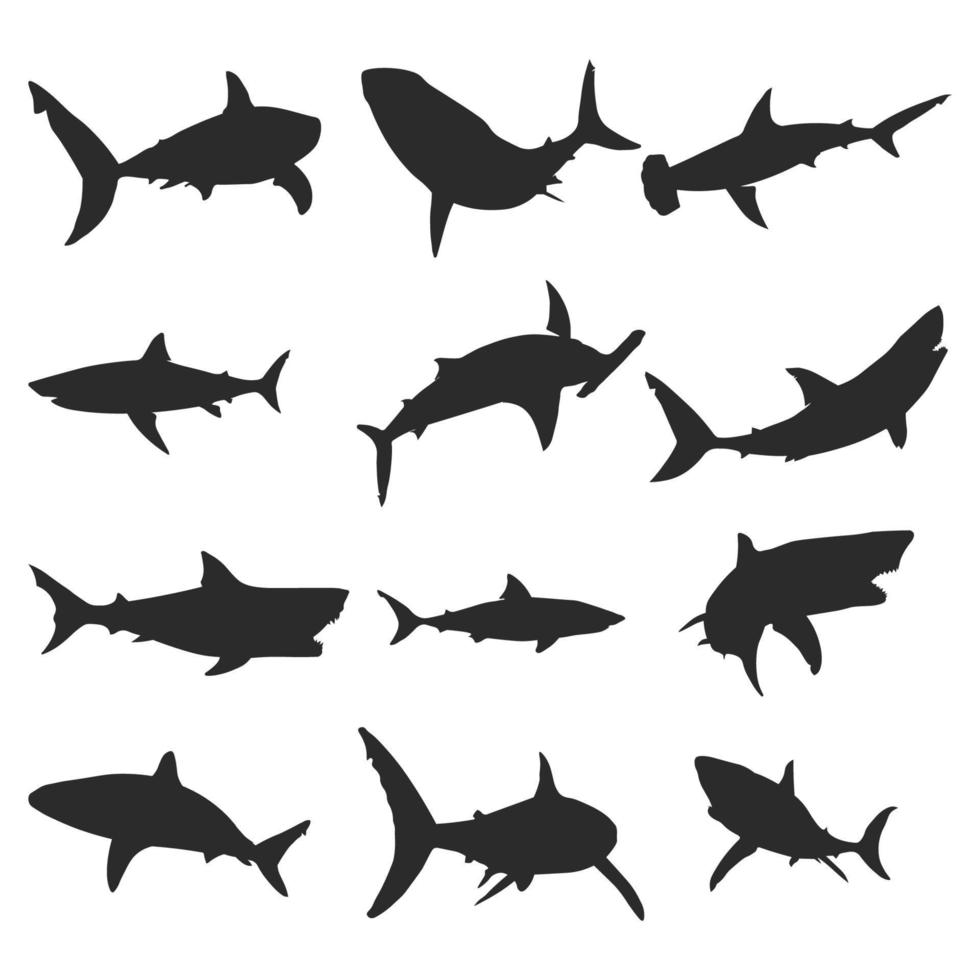 Set of shark animal silhouettes of various styles vector