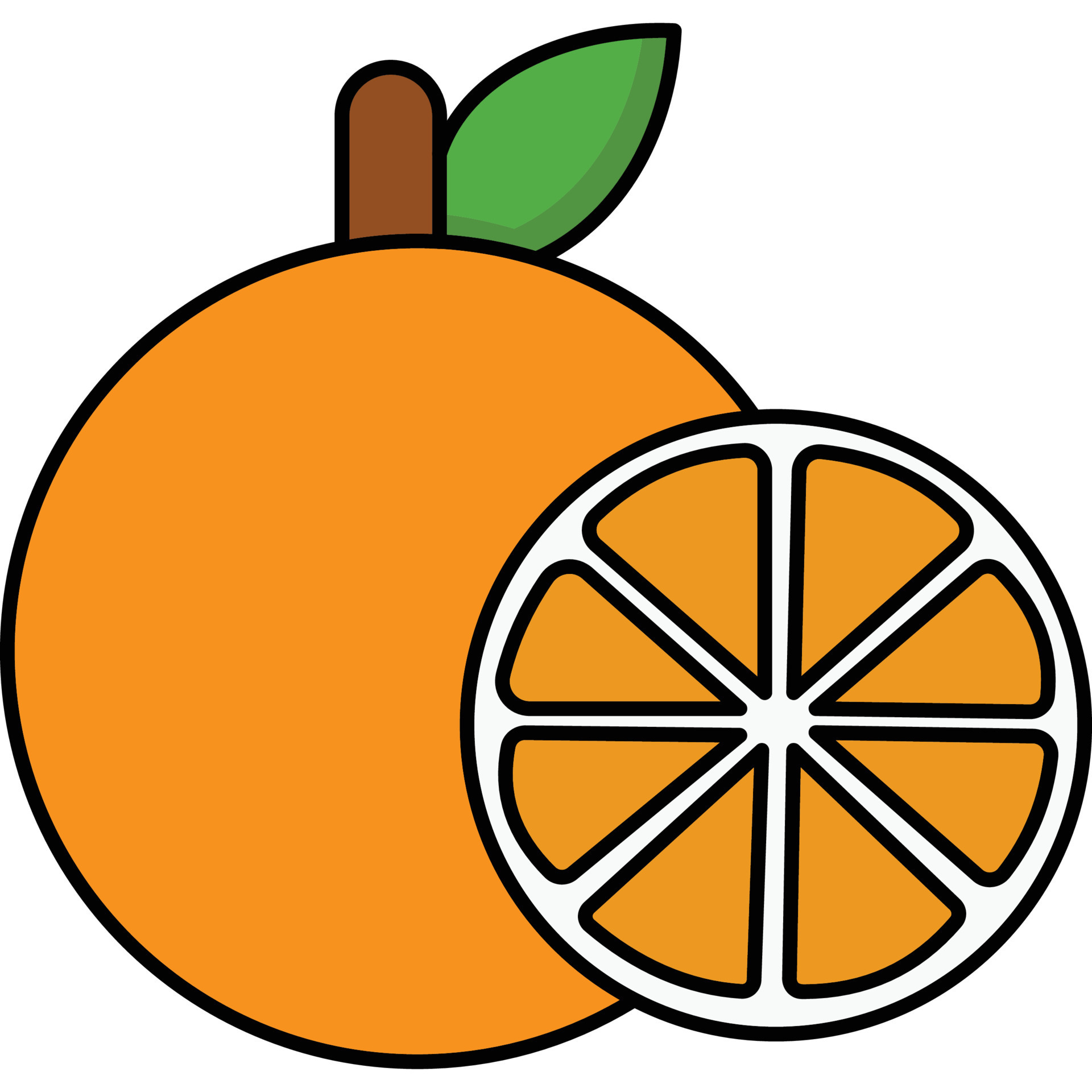 Oranges Which can easily edit or modify 17546386 Vector Art at Vecteezy