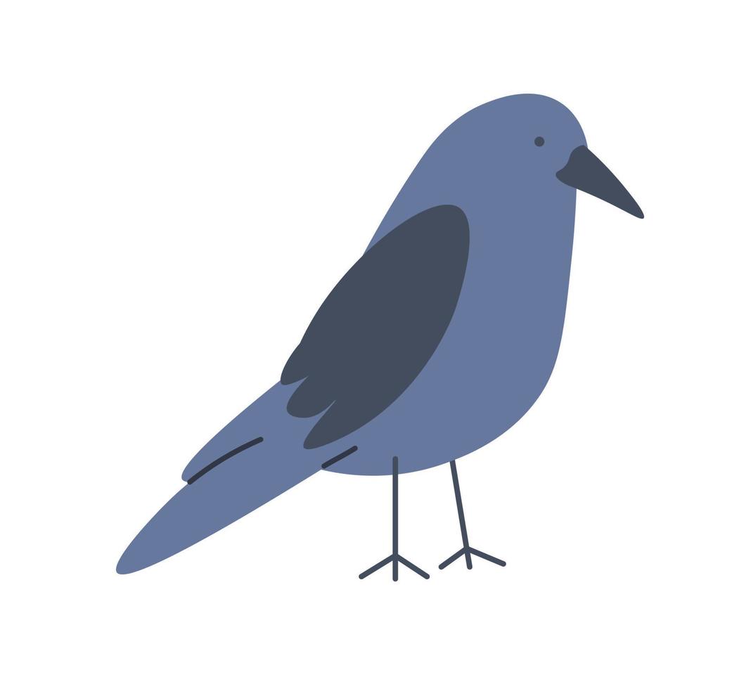 pájaro cuervo o cuervo con retrato de plumaje azul vector