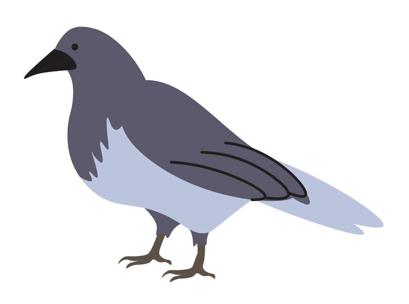 Crow portrait of large bird with black plumage vector