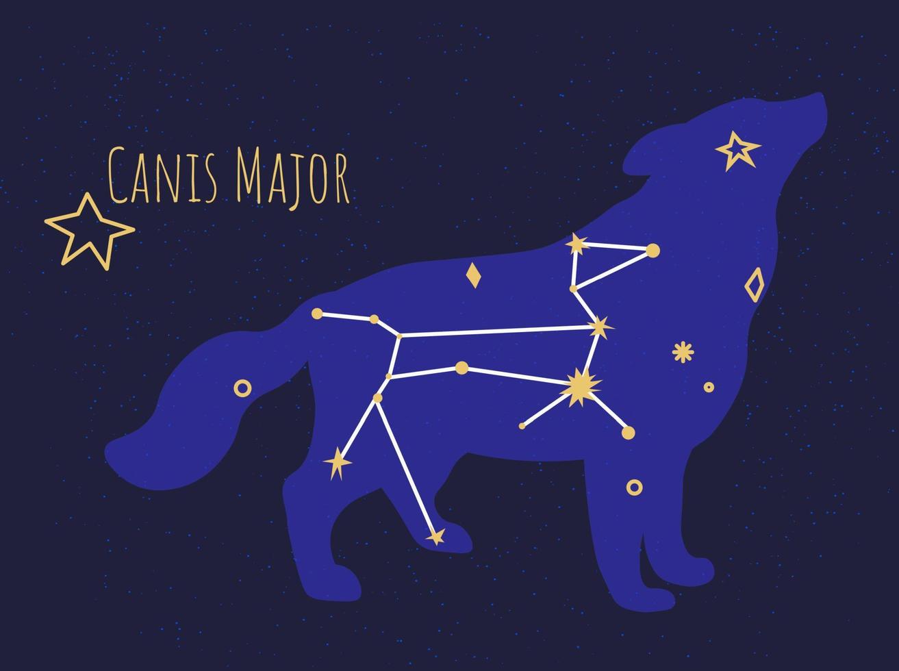 Constellation of canis major star formation of dog vector
