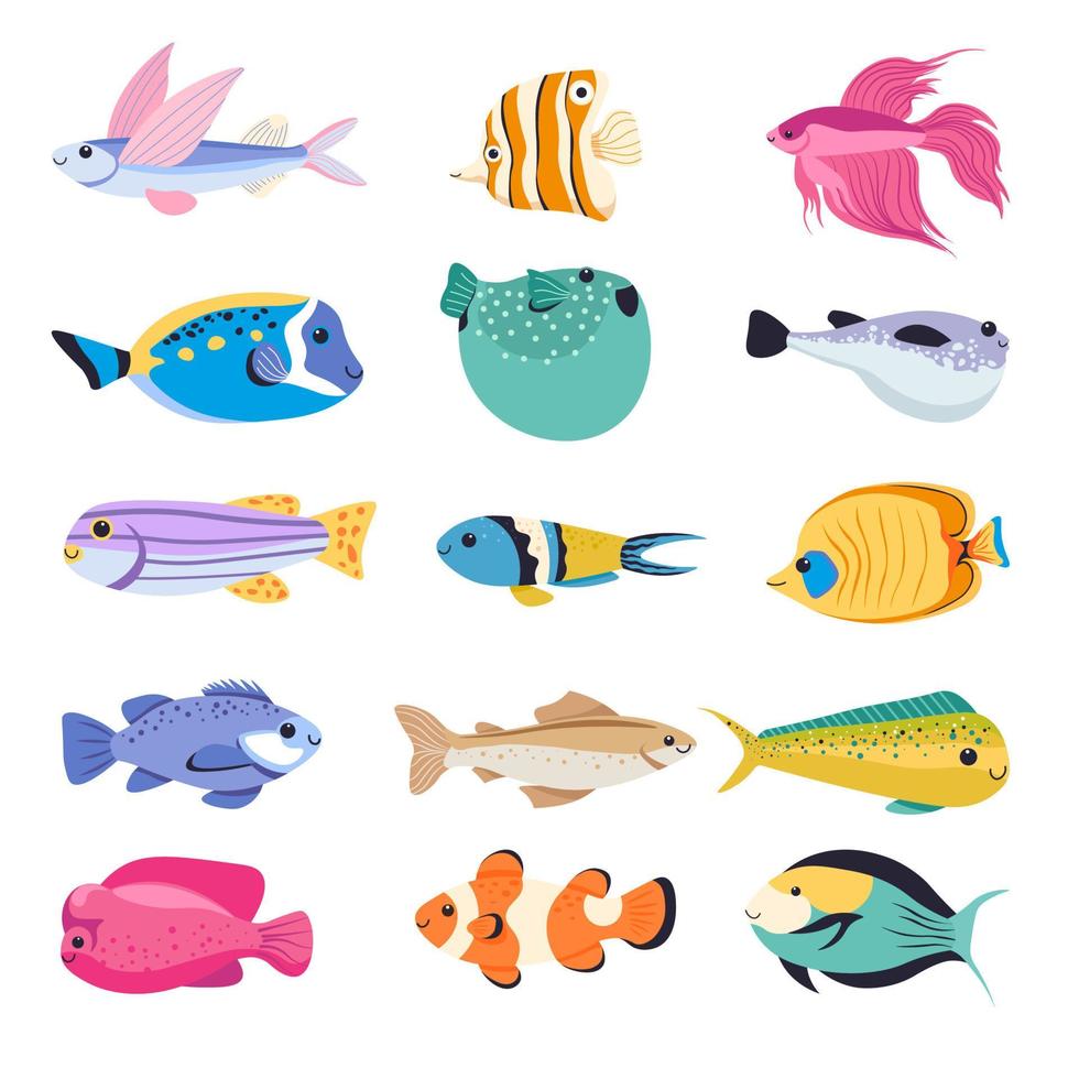 Fish types for aquarium, tropical species vector