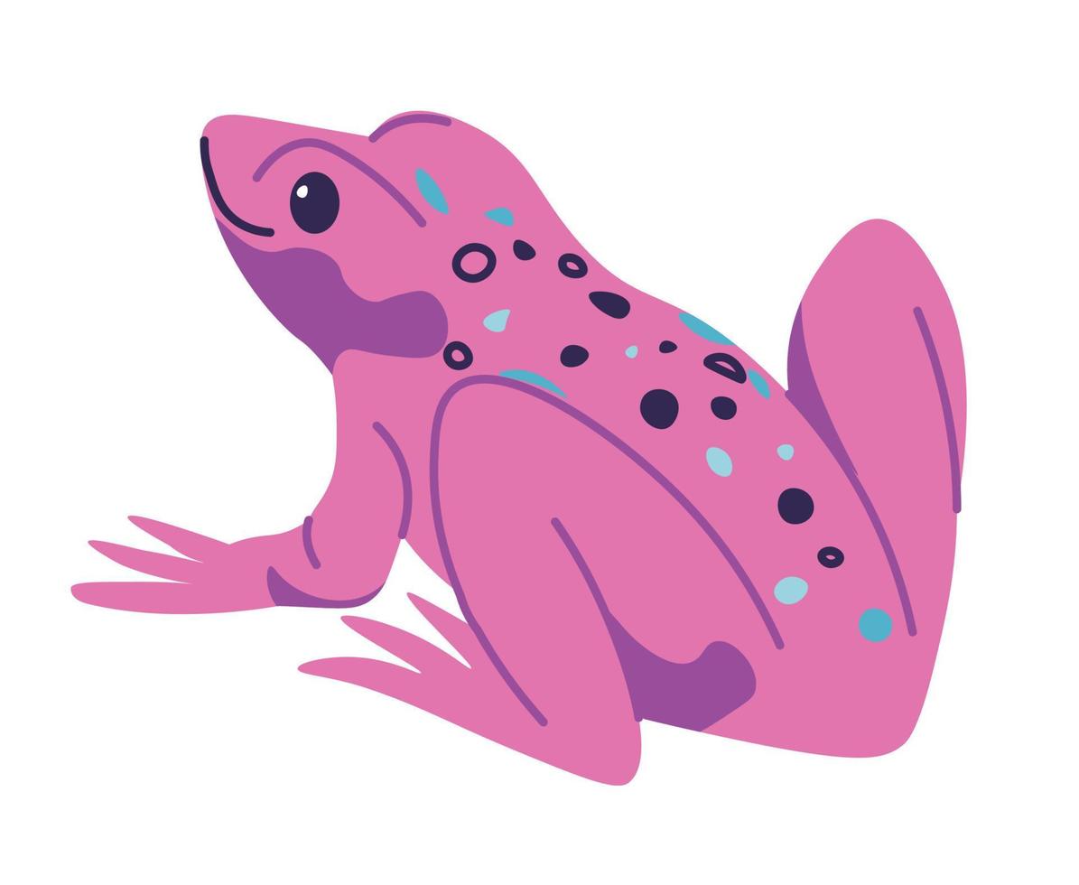 Tropic animals and reptiles, pink frog or toad vector