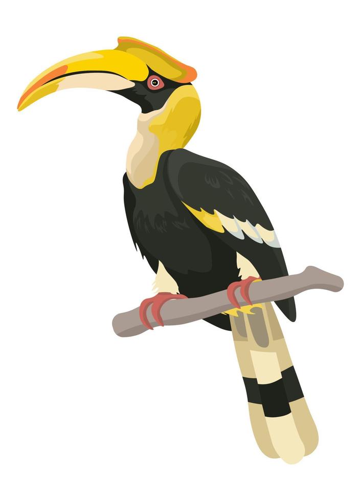 Exotic animal with curved beak sitting on twig vector