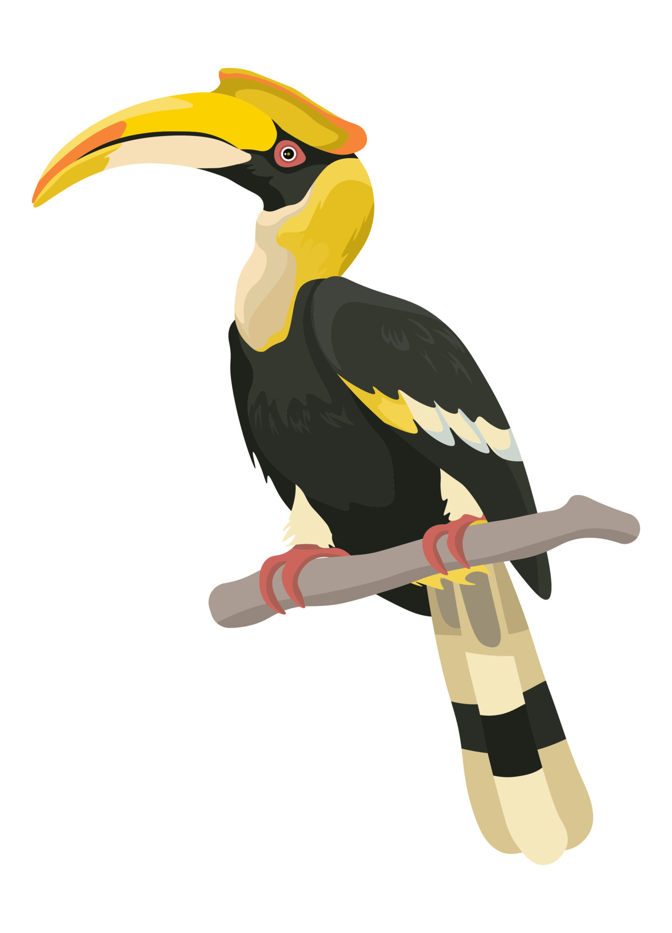 Exotic animal with curved beak sitting on twig 17549543 Vector Art at