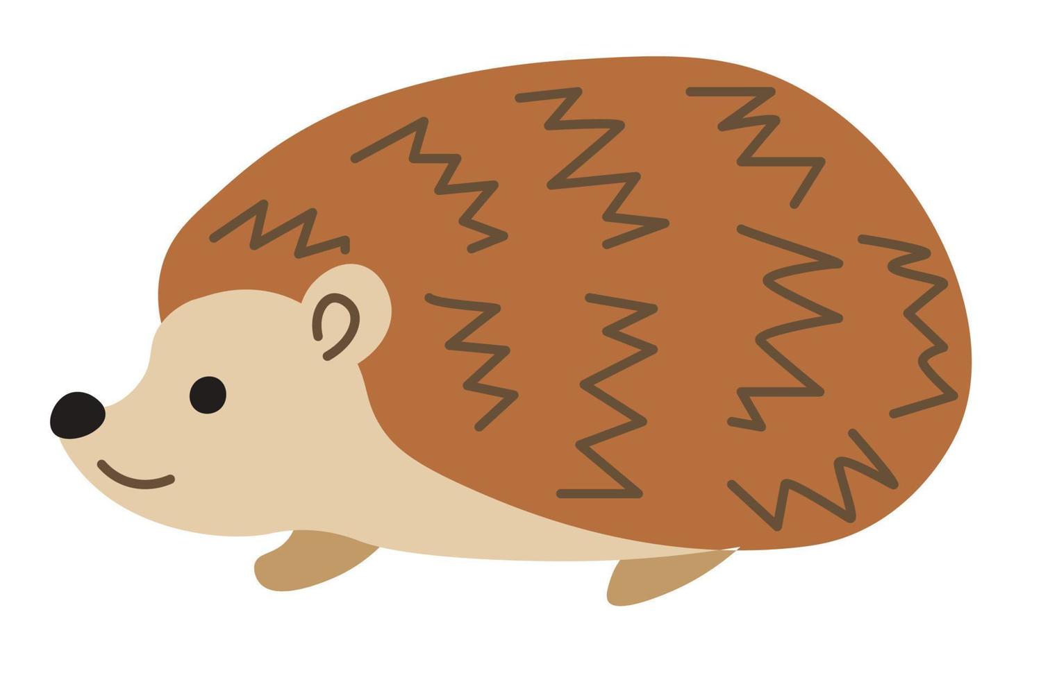 Hedgehog forest animal with thorns, portraits vector