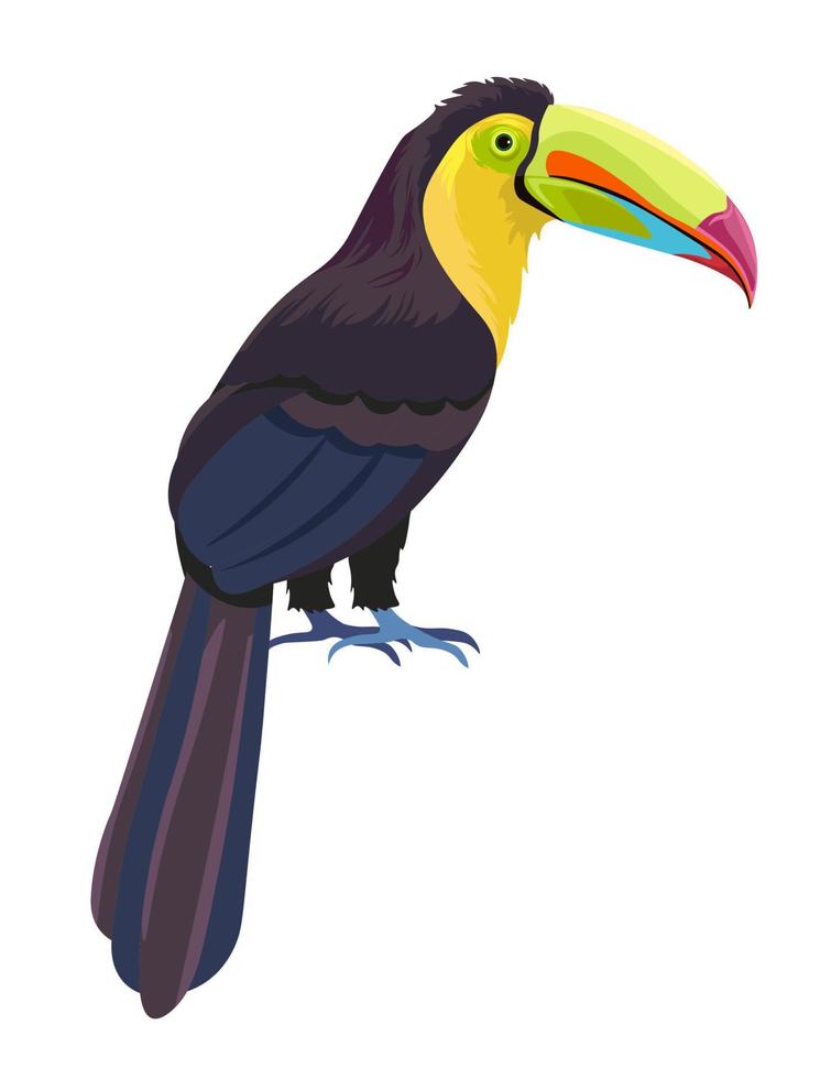 Exotic bird with big beak, tropical avian animal vector