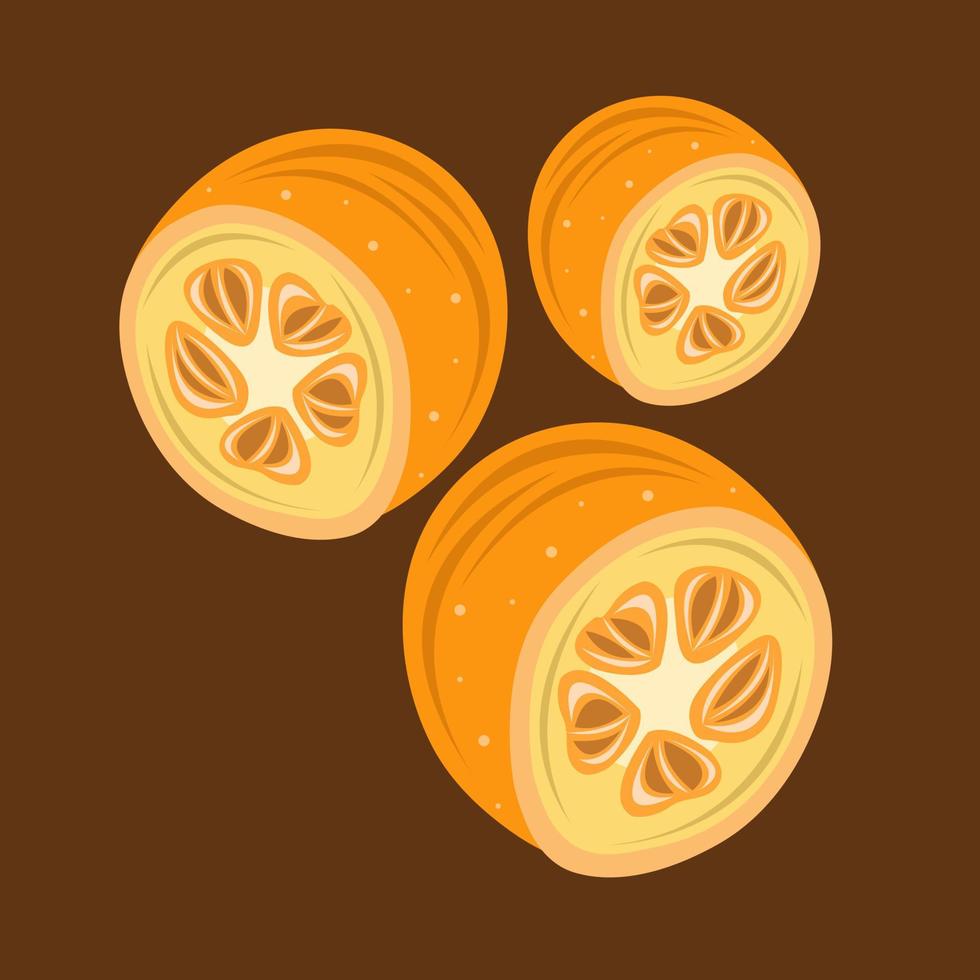 ilustración de vector de kumquat para diseño gráfico y elemento decorativo