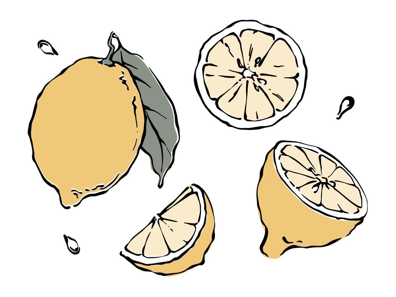 Yellow lemon with leaf, lemon half and slice drawing elements collection on white background, hand drawn style vector illustration.