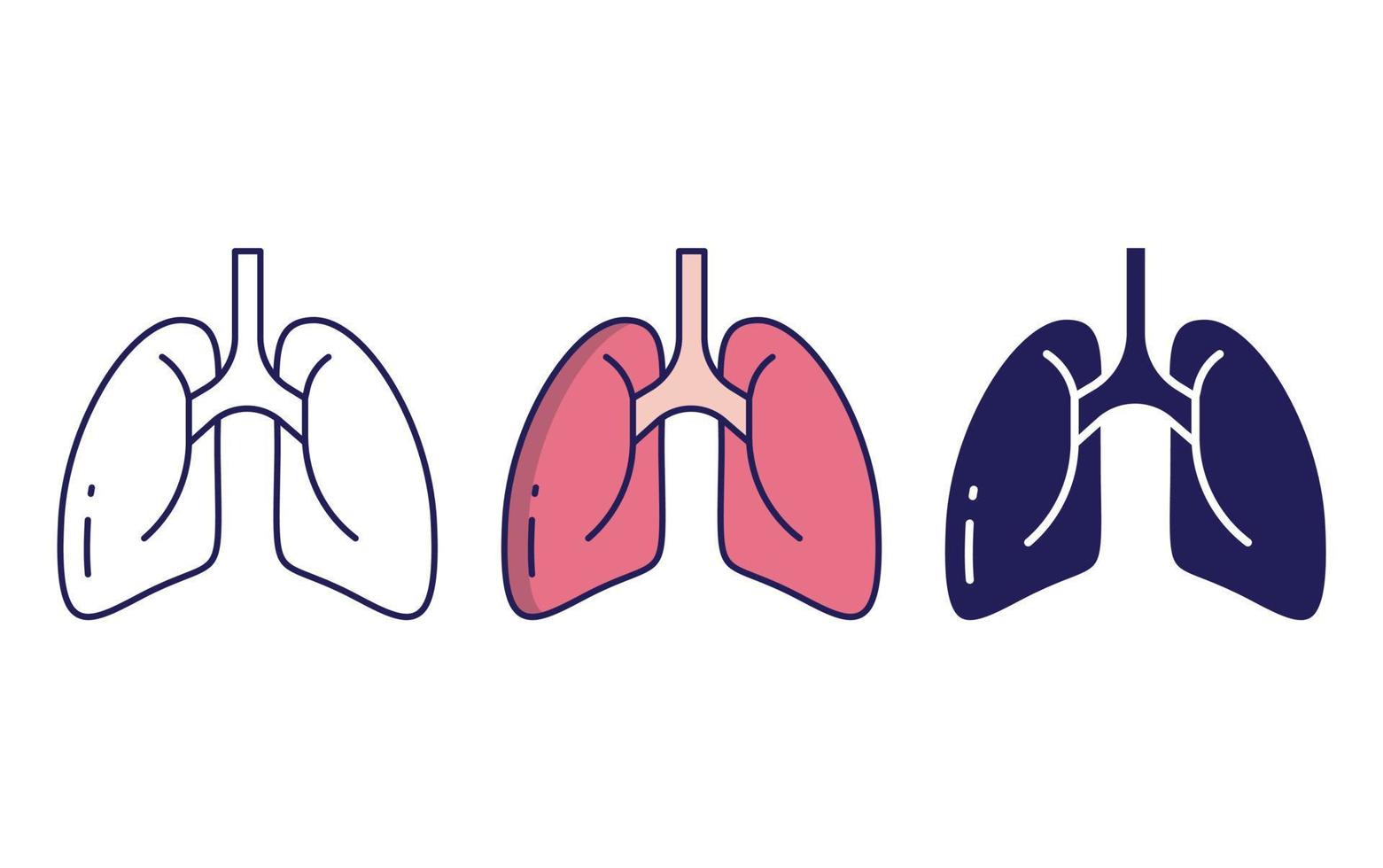 Human Lungs icon vector