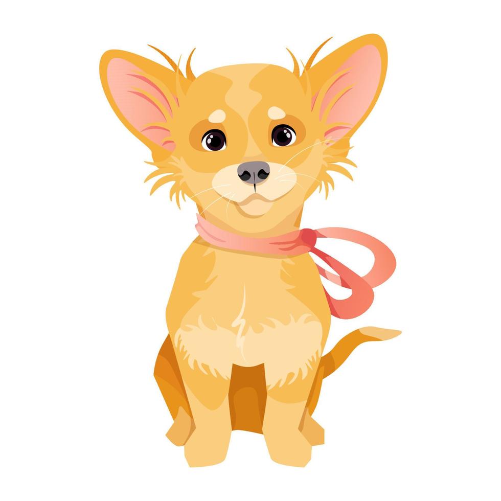 chihuahua lindo y de pelo largo en color amarillo con un lazo anudado vector