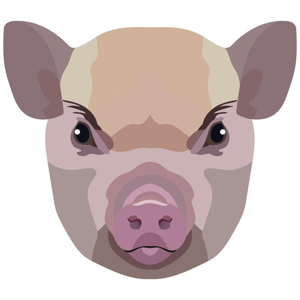 cara de microcerdo. ilustración vectorial con lindo mini cerdo. aislado sobre fondo blanco. vector