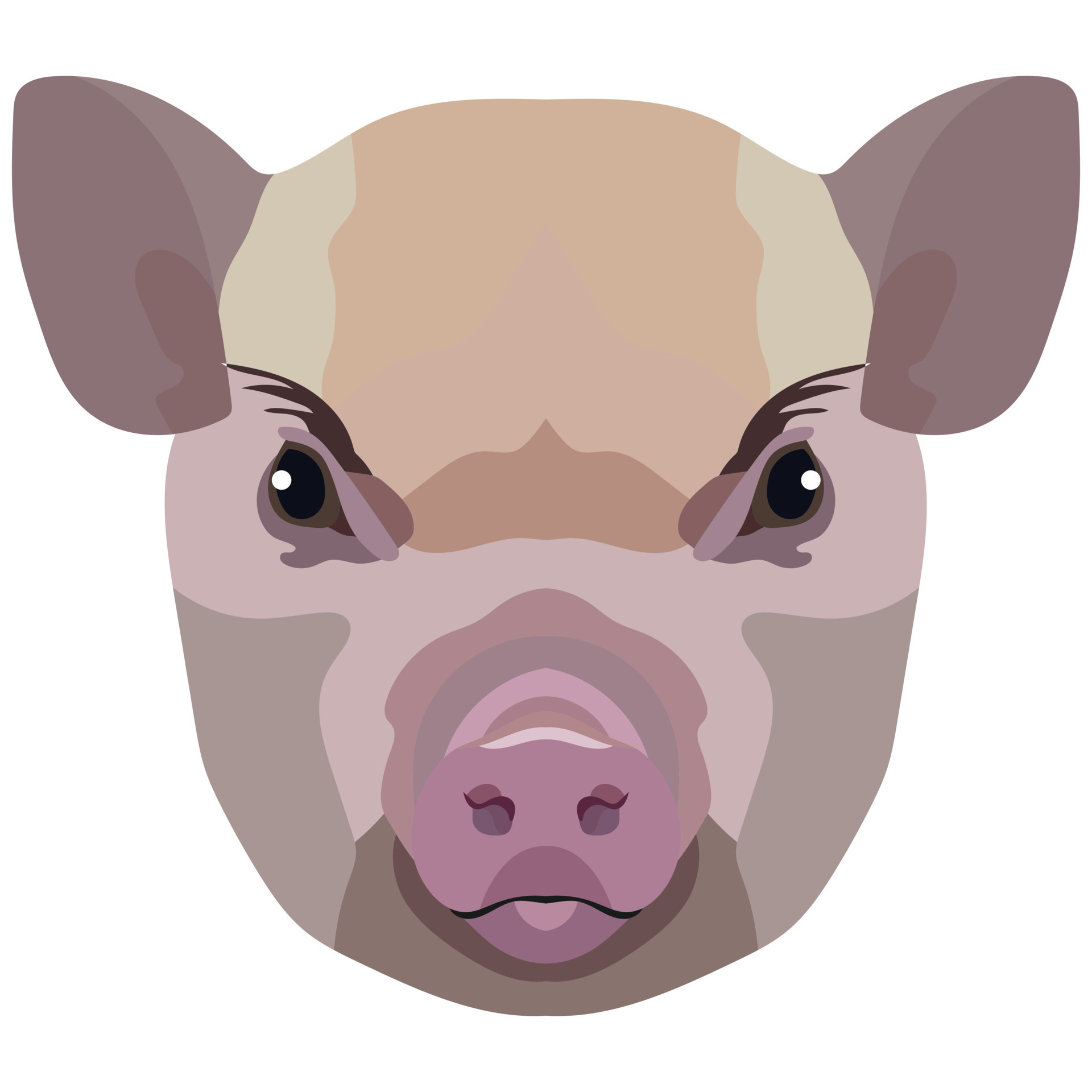 micro mini pig images clipart