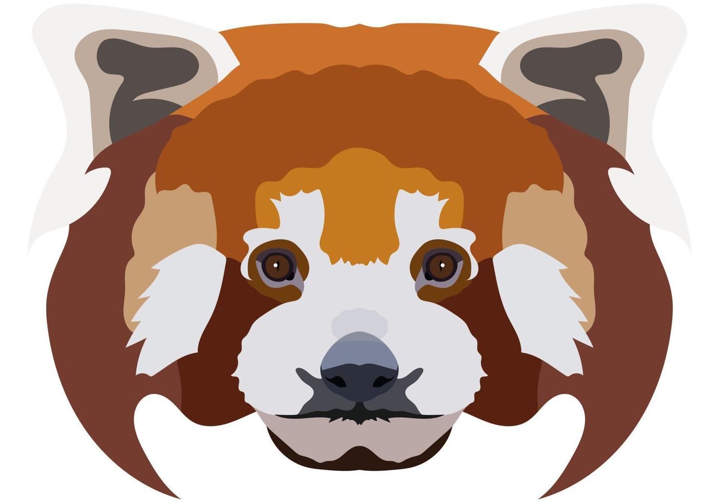 Little panda's face. Vector illustration of a red panda. Isolated on white background.