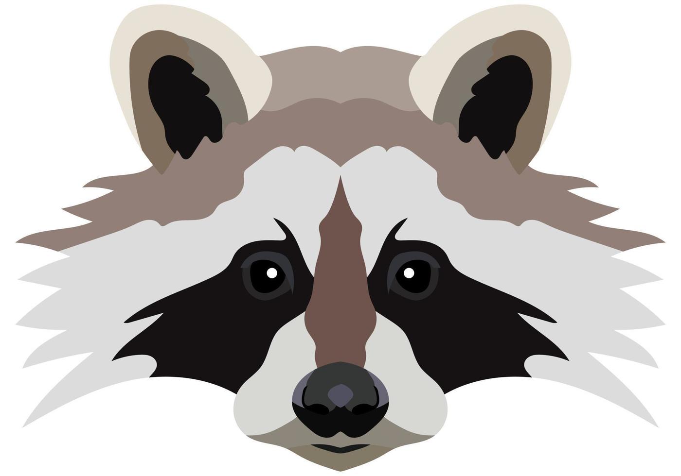 Raccoon face. Vector illustration Isolated on white background.