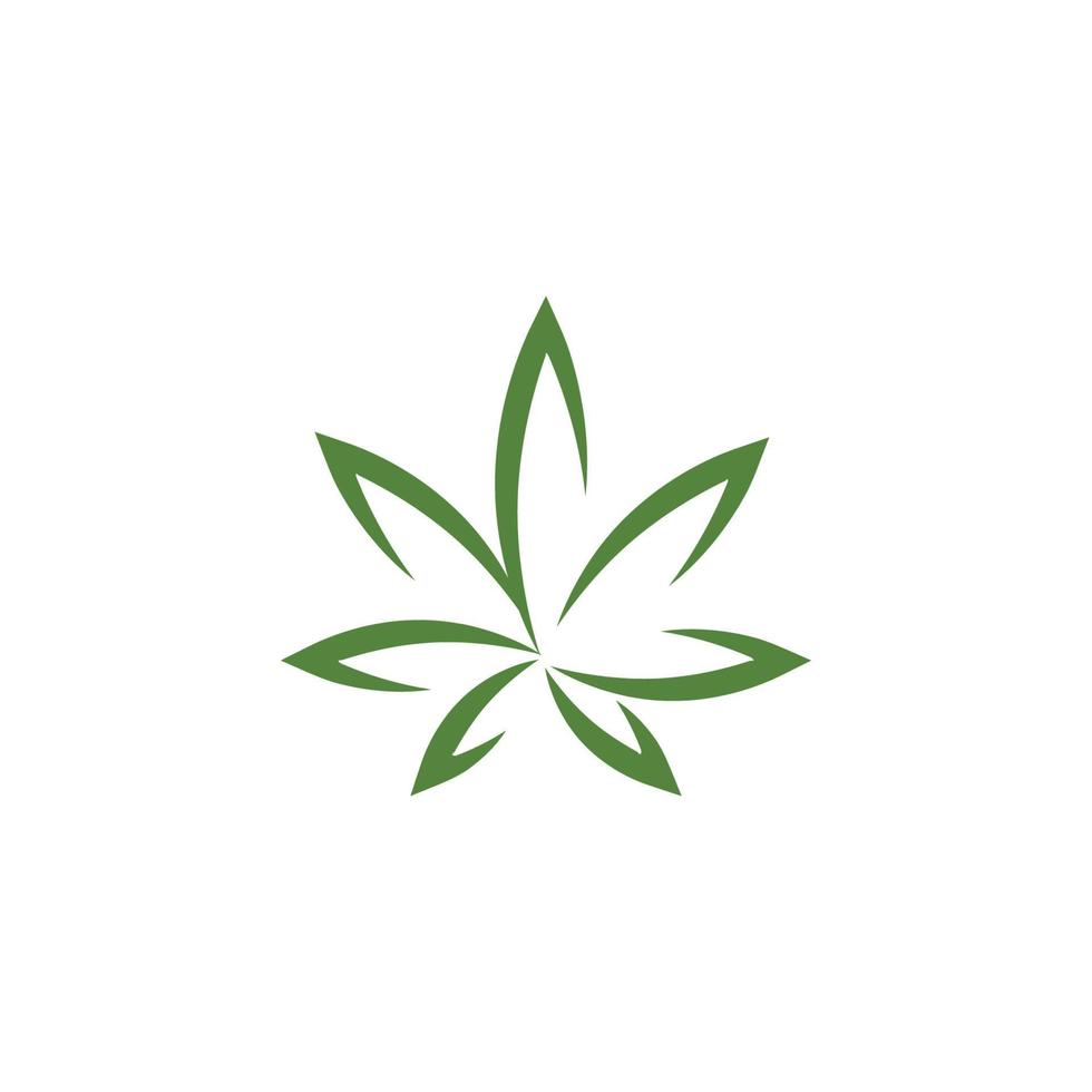 Canabis leaf vector illustration