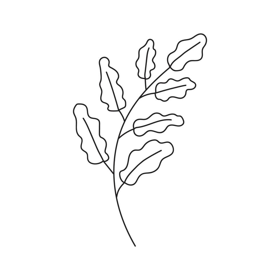 Hand drawn branch with leaves vector