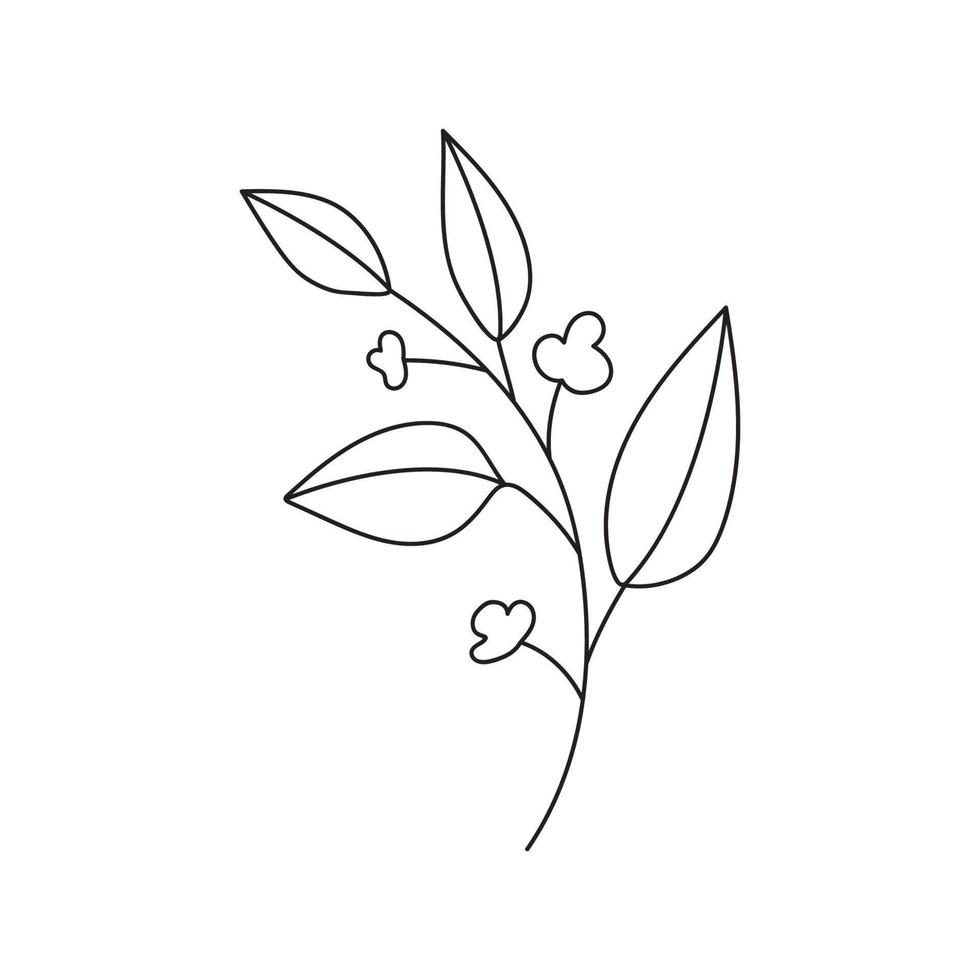 Hand drawn branch with leaves vector