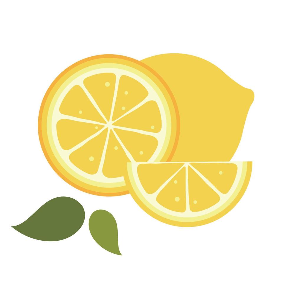 lemon illustration vector design with white background