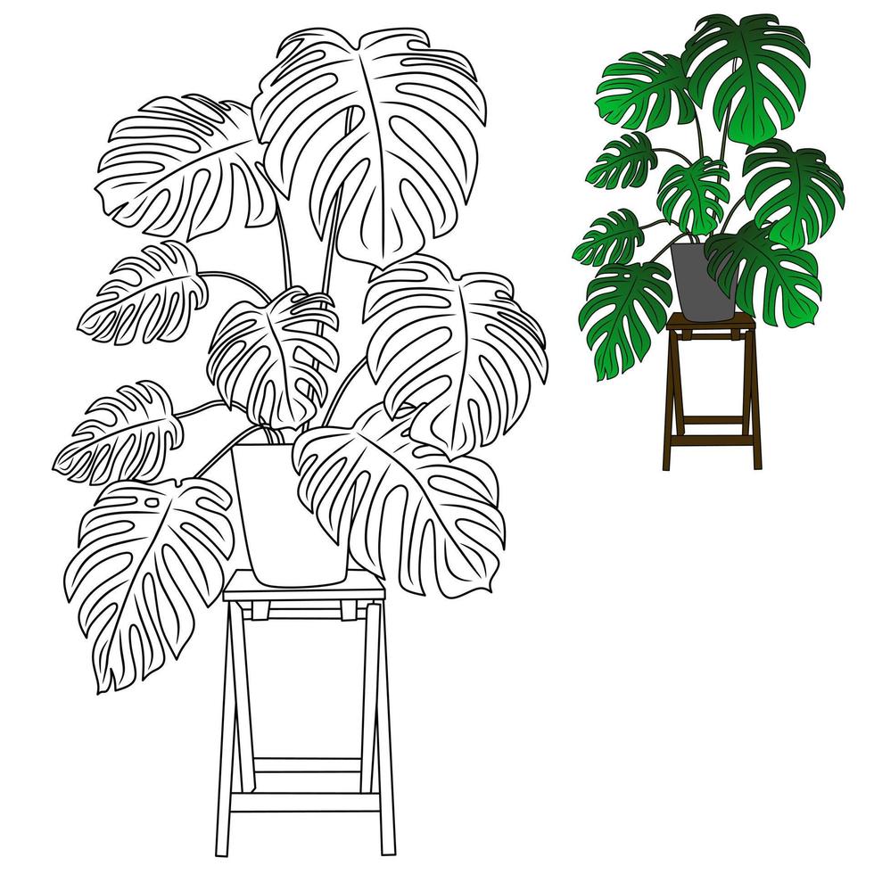 ornamental plant pictures for coloring book vector