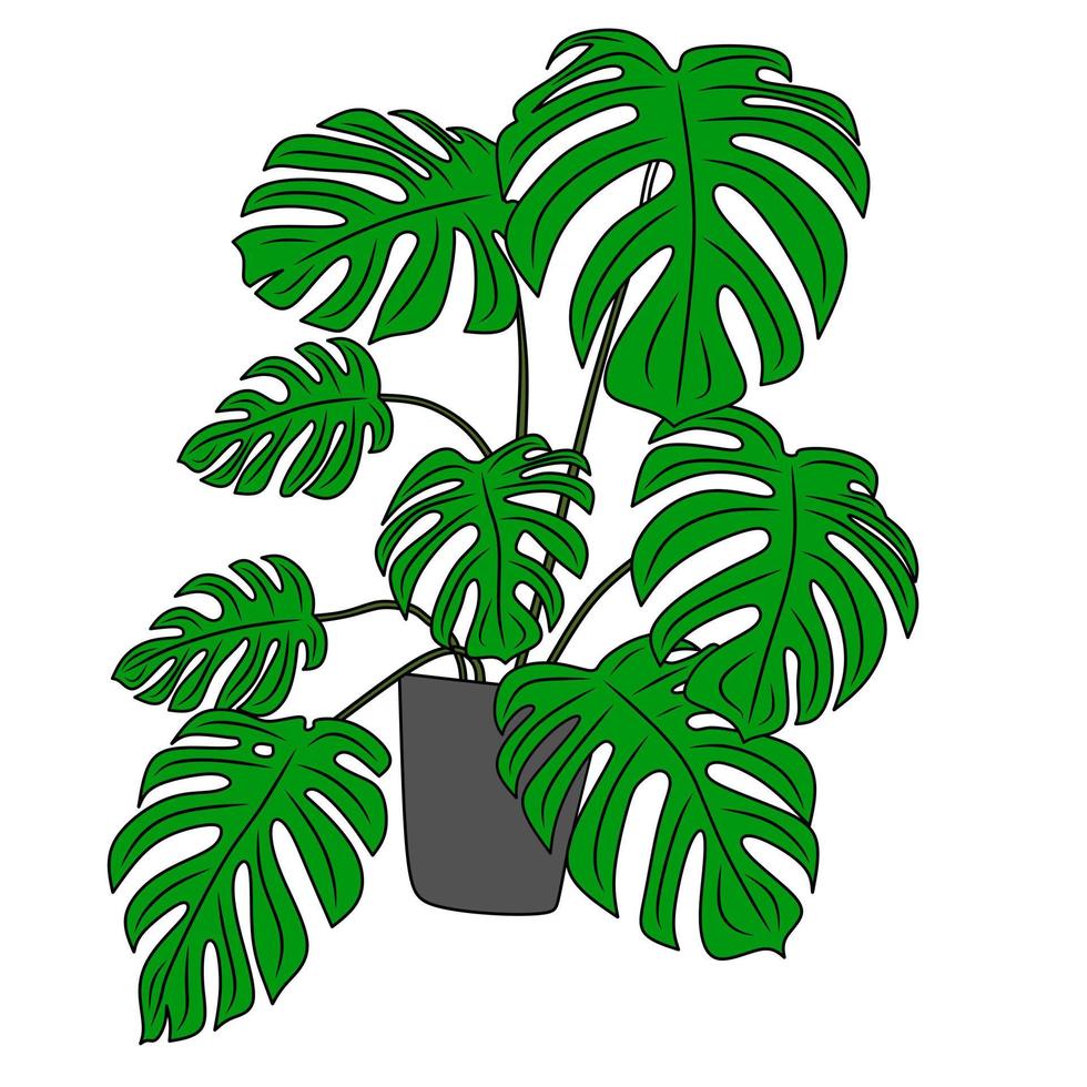 ornamental plant pictures for coloring book vector