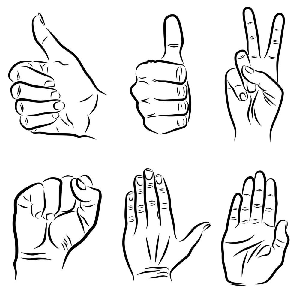 various hand gestures vector drawing