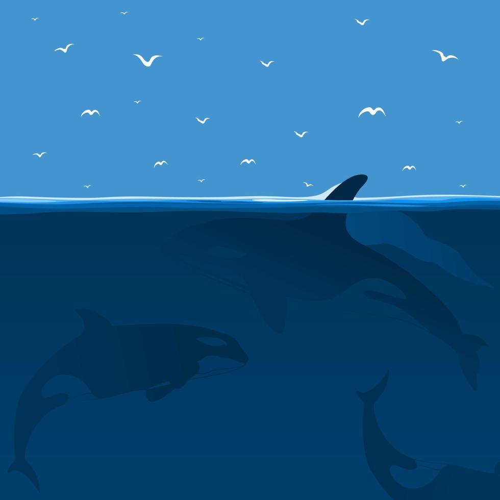 Whales hunt in the sea. A vector illustration