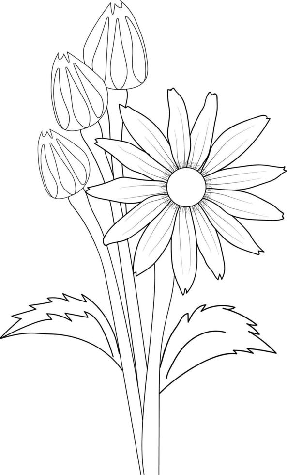 Black and white outline vector coloring book page for adults and children flowers sunflower black-eyed susun with leaves.