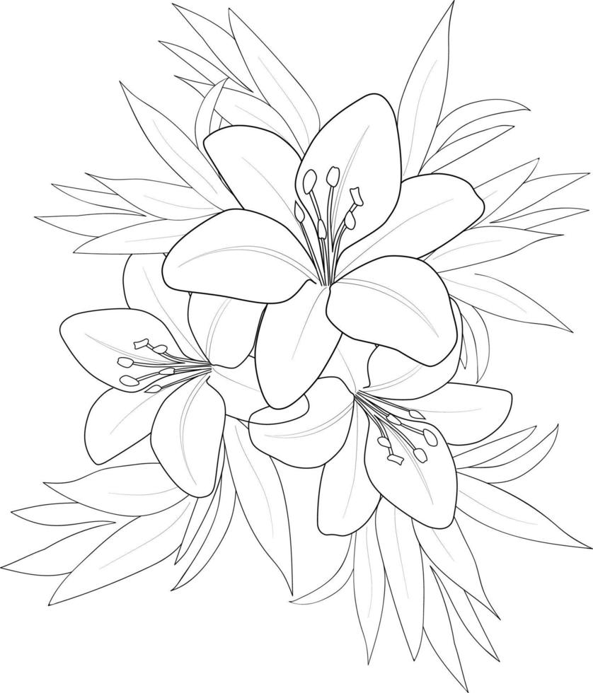 Black and white outline vector coloring book page for adults and children flowers lilies lilium with leaves. bouqute of lilys coloring page.