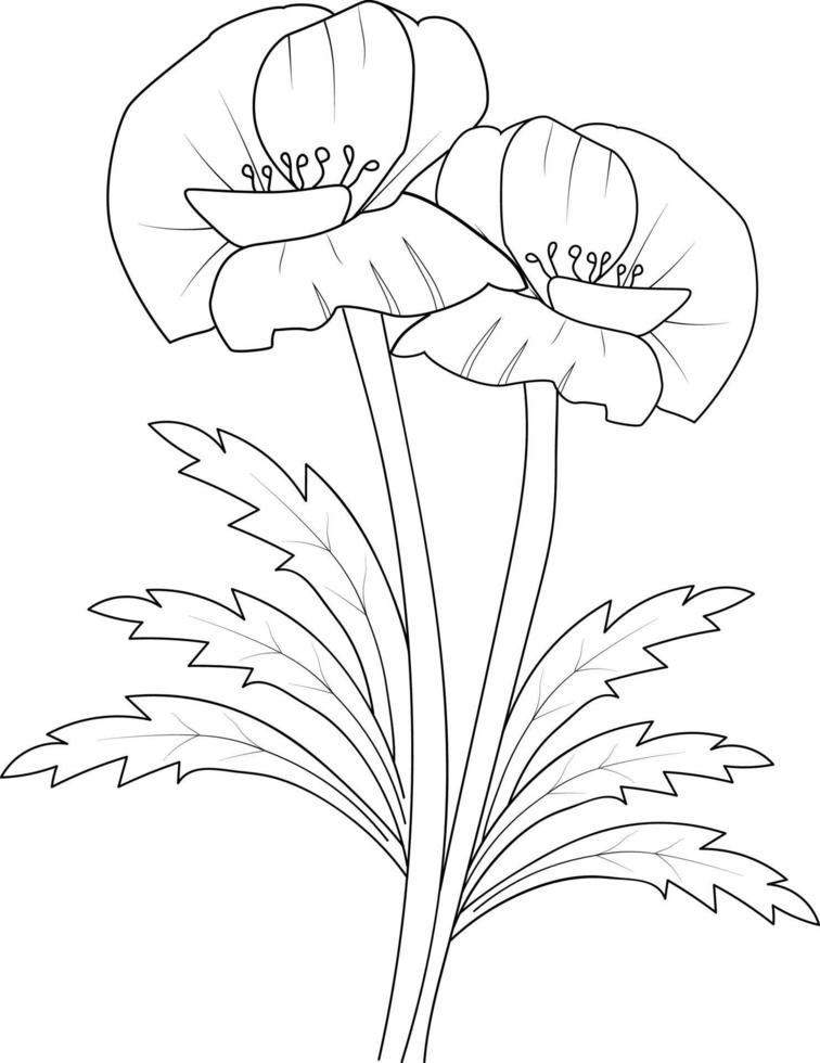 Isolated poppy flower hand drawn vector sketch illustration, botanic collection branch of leaf buds natural collection coloring page floral bouquets engraved ink art.