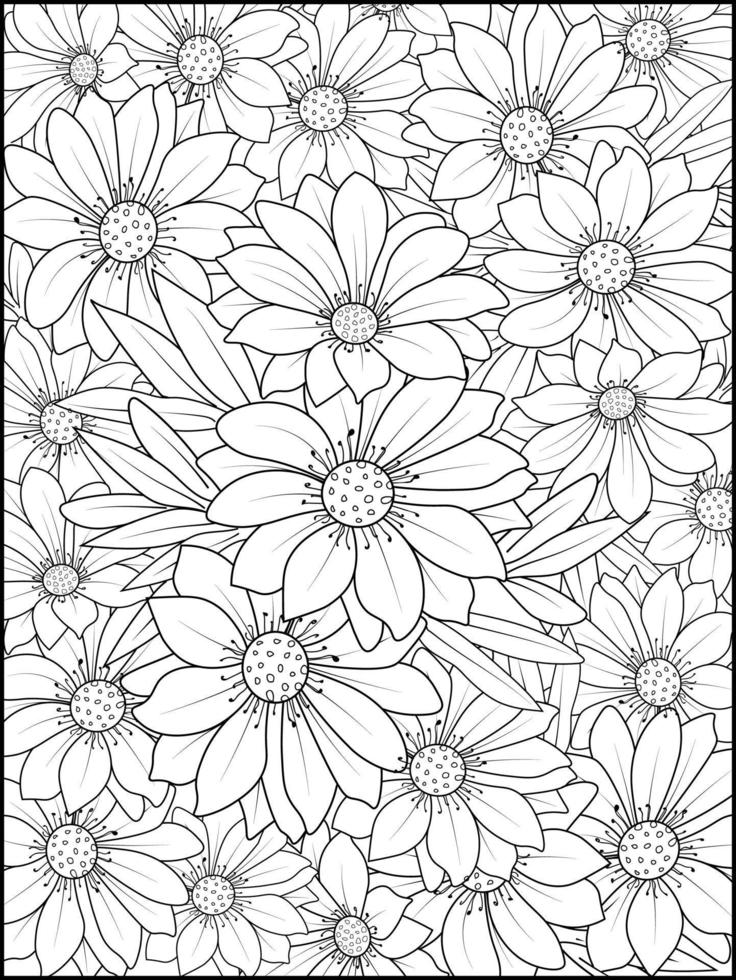 Beautiful botanical daisy flower pattern illustration for coloring book or page, frangipani flower sketch art, hand drawn bouquet of floral isolated on white background vector