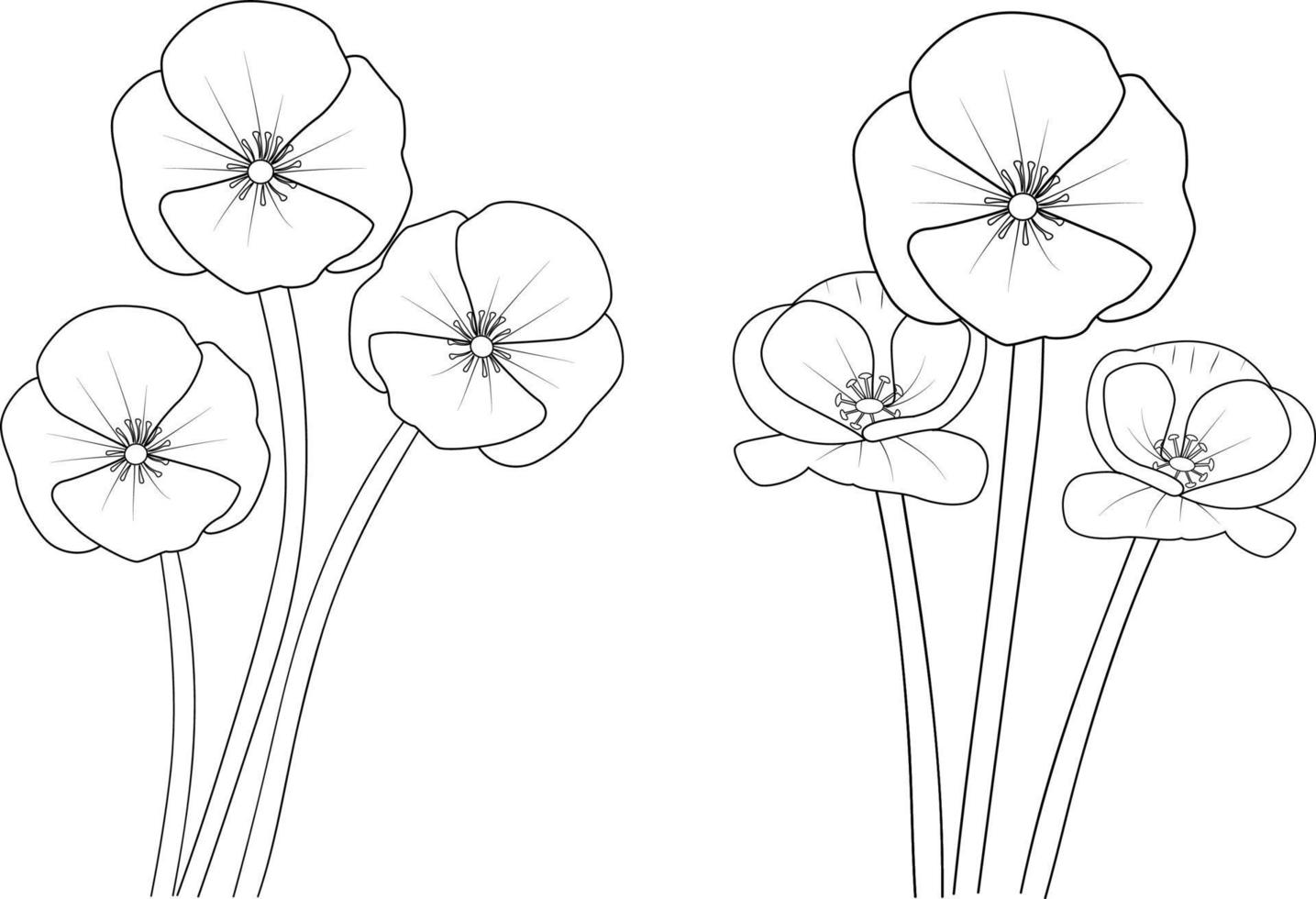 Black and white outline vector coloring book page for adults and children flowers poppy with leaves  buds hand-drawn flowers, isolated on white background ink illustration design color book.