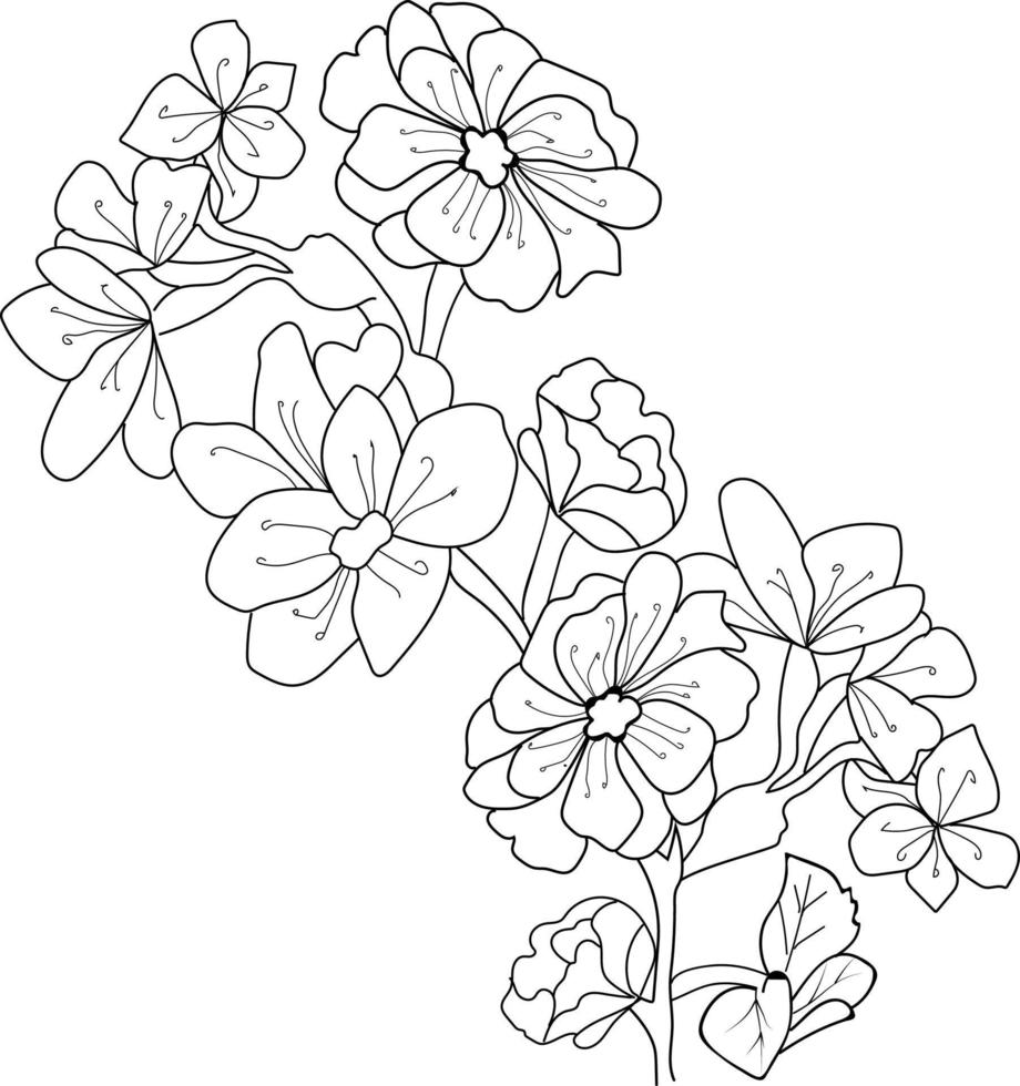 flor de cerezo página para colorear flor dibujada a mano cerezas de ilustración vectorial sobre fondo blanco vector