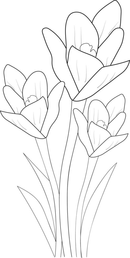 Black and white outline vector coloring book page for adults and children flowers sarrorn with leaves