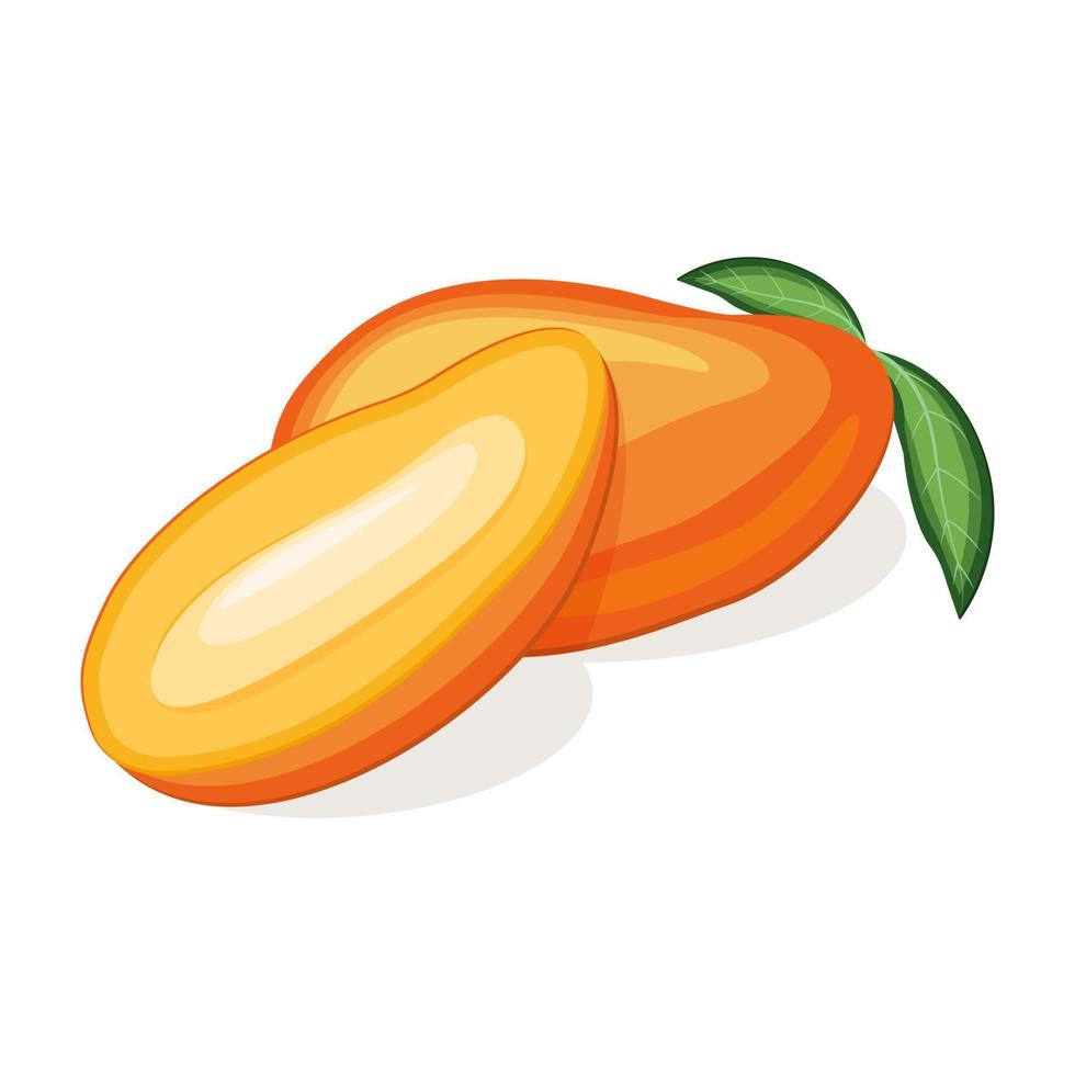 Juicy fresh mango isolated on white background vector