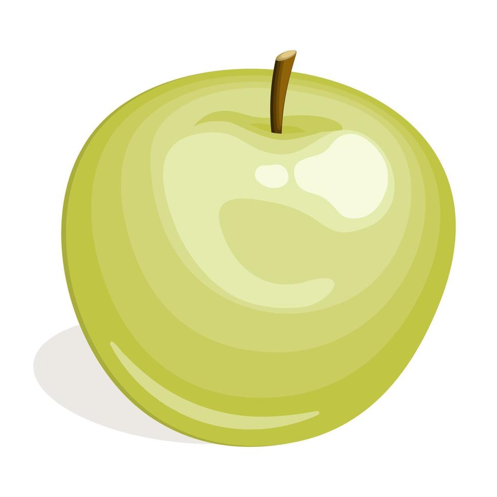 Green apple isolated on white background. Vector illustration