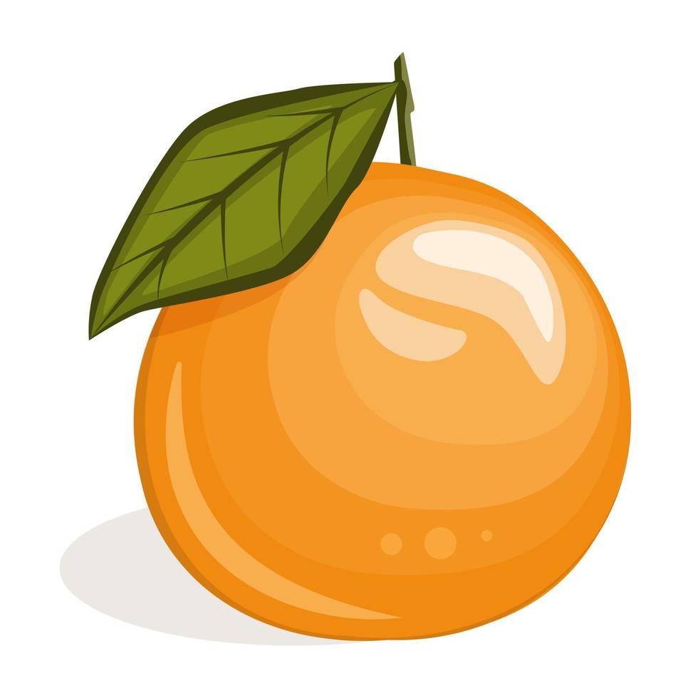 Juicy orange isolated on white background vector