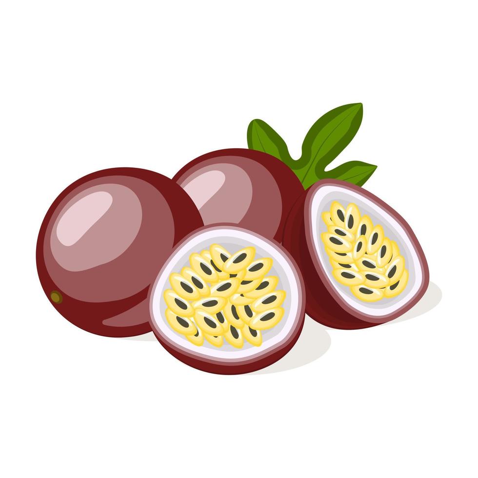 Juicy fresh passion fruit isolated on white background vector