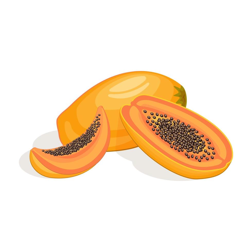 jugosa papaya fresca aislada de fondo blanco vector