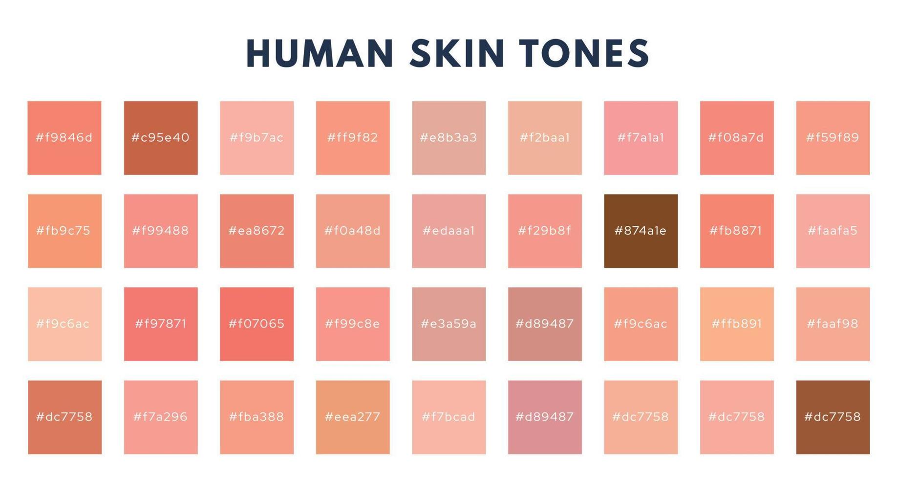 Index of skin tones set. Cosmetics skin tone color pallete. Vector isolated illustration
