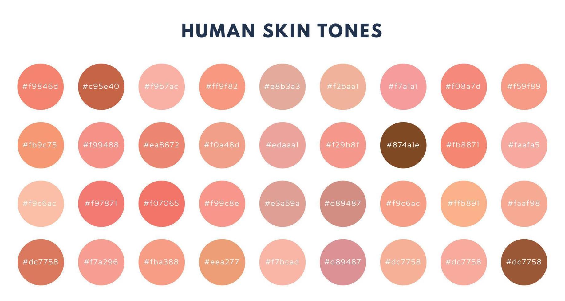 Index of skin tones set. Cosmetics skin tone color pallete. Vector isolated illustration