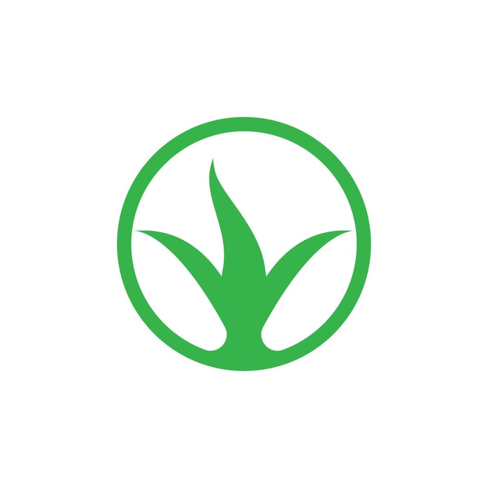 Green leaf logo vector